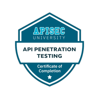 API Penetration Testing